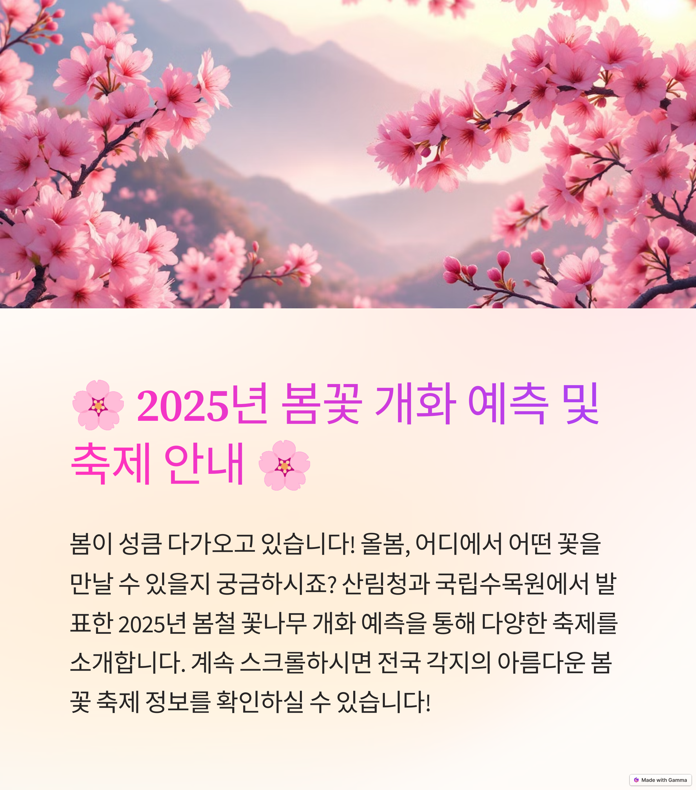 벚꽃 개화시기, 봄꽃 축제, 벚꽃 축제