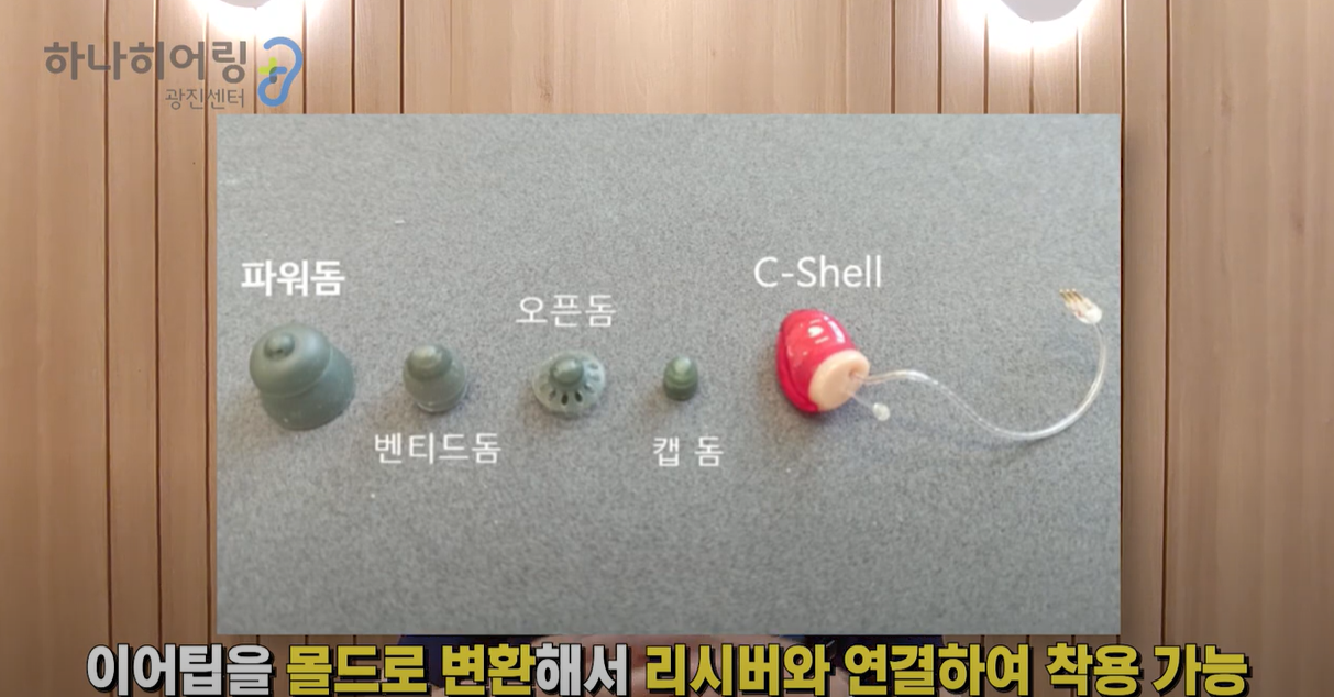 이어팁도 몰드형으로 변경가능하다