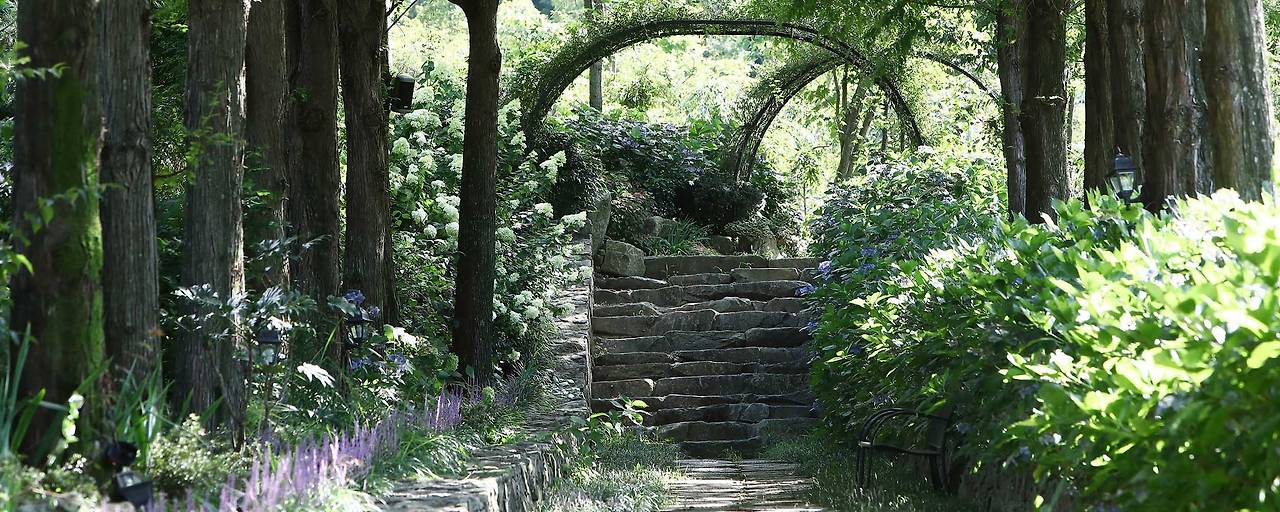 고성 그레이스정원 수국, 상리연꽃공원 여행 후 들르기 딱 좋은 감성 명소