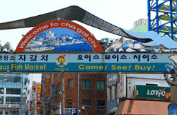 단풍여행 1박2일 버스여행 단풍구경