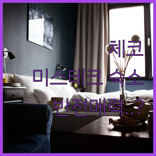나만 알고 싶은 프리데크 미스테크 베..