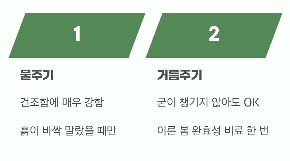 비결 2. 과한 사랑은 금물, '물'과 '거름'