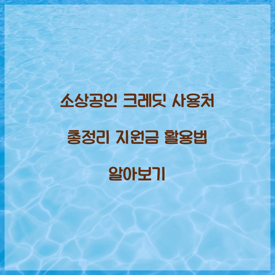 소상공인 크레딧 사용처