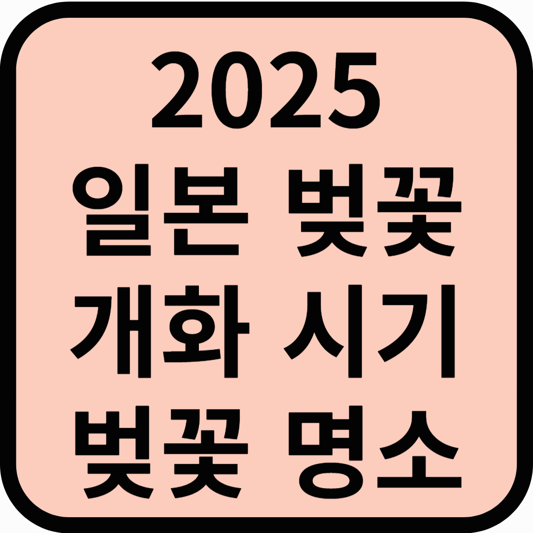 2025 일본 벚꽃 개화 시기 벚꽃 명소 추천