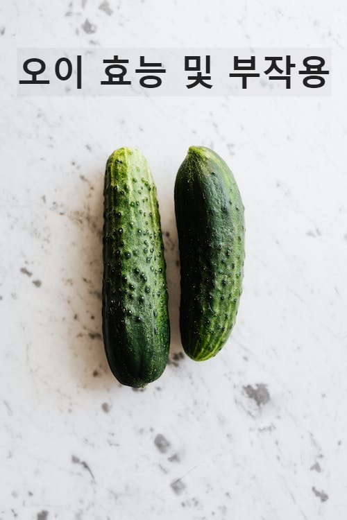 오이 효능 영양소 칼로리 부작용