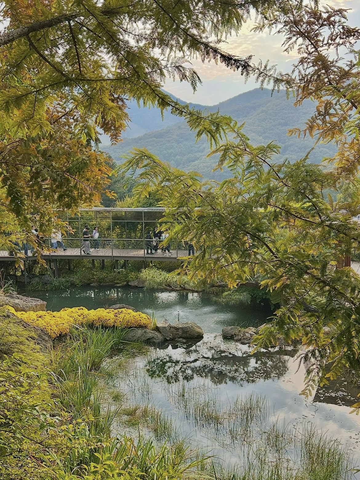 화담숲 암석하경정원