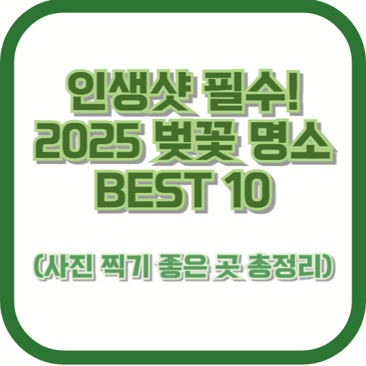 인생샷 필수! 2025 벚꽃 명소 BEST 10 (사진 찍기 좋은 곳 총정리)