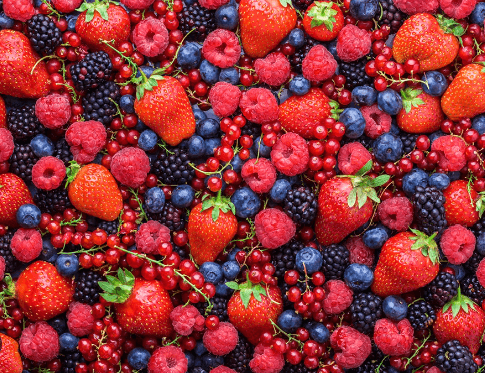 간에 좋은 영양제 추천 음식 10