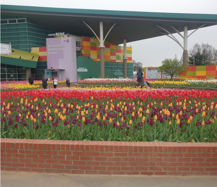 2023.고양 국제꽃박람회.총정리.가는길.입장권.일정.주차장