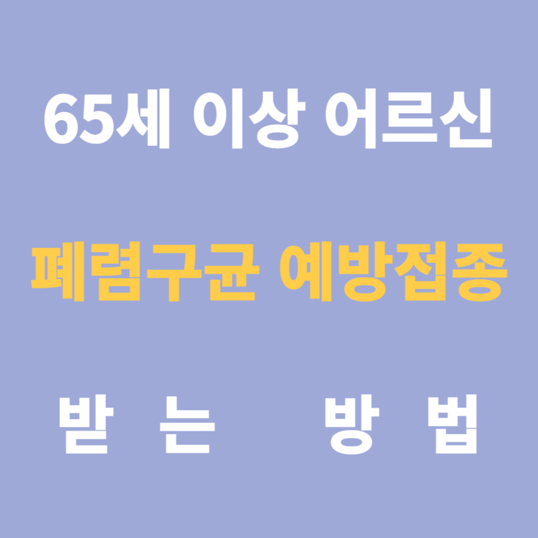 65세 이상 어르신 폐렴구균 예방접종