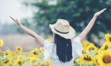 메타세콰이어길