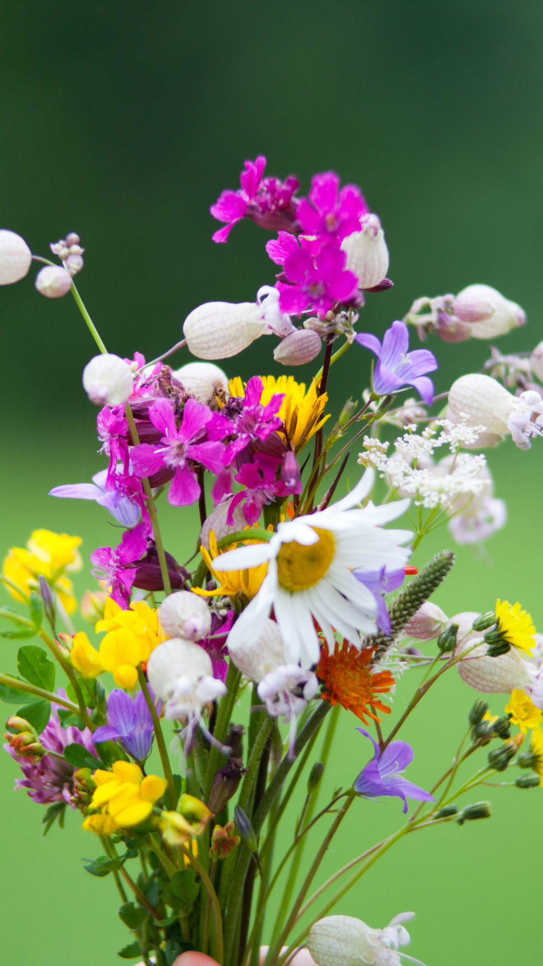 꽃 배경화면 사진 고화질 이미지 스마트폰