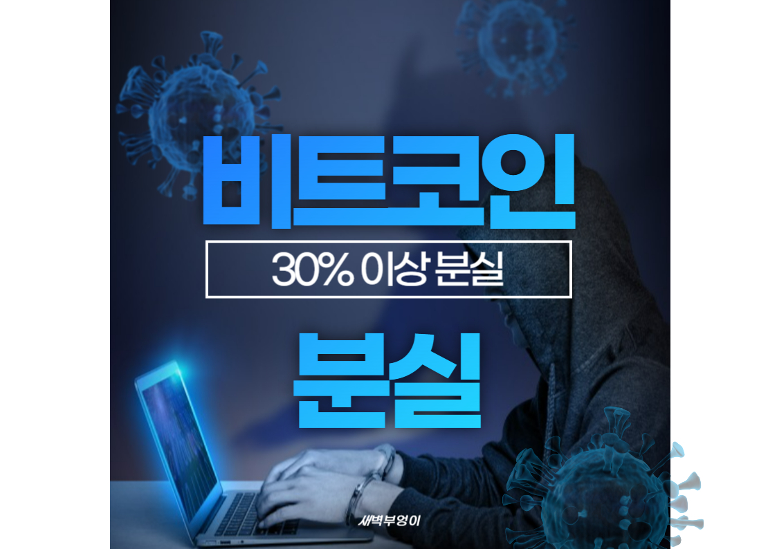 비트코인 30% 이상 분실 남은 채굴량 ETF 승인 반감기 공급량