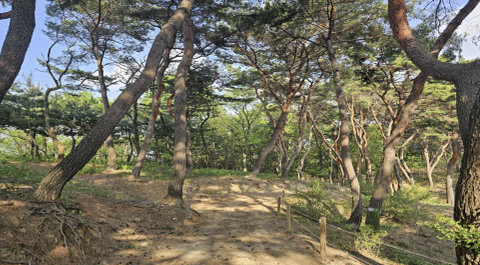 남양주 사릉