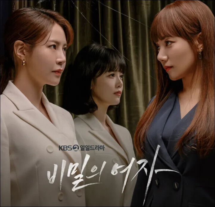 비밀의 여자 포스터
