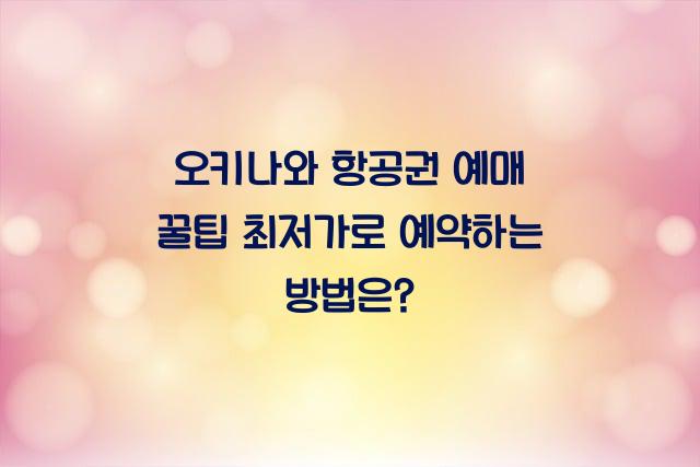 오키나와 항공권 예매