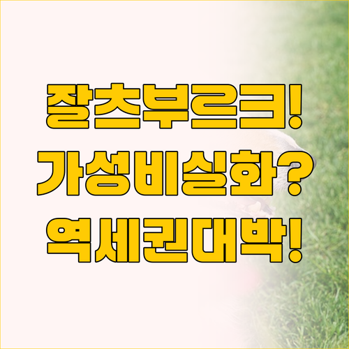 잘츠부르크 가성비 숙소 추천 a&o ..