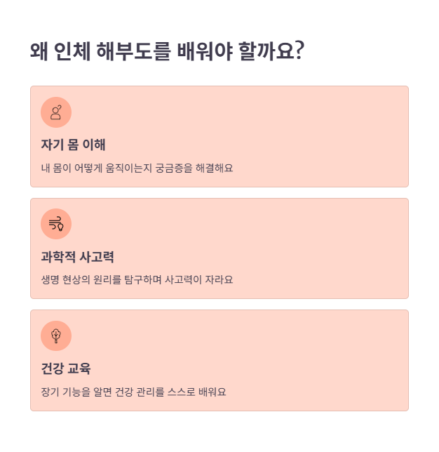 해부도 학습의 필요성과 교육 효과