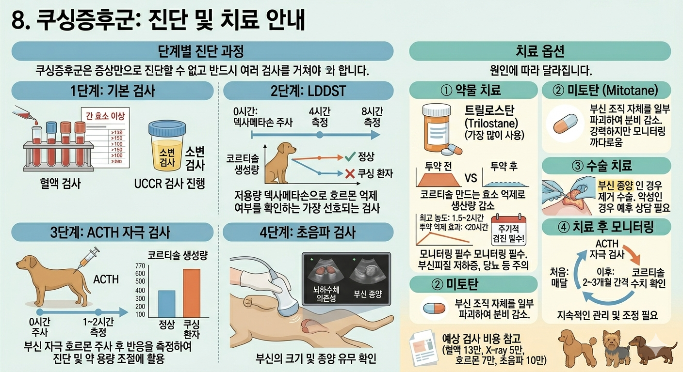 쿠싱증후군 진단 및 치료안내