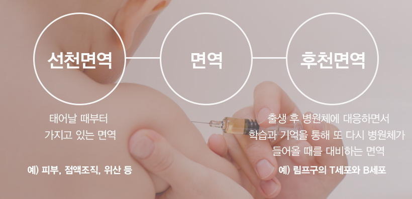 선천면역과 후천면역