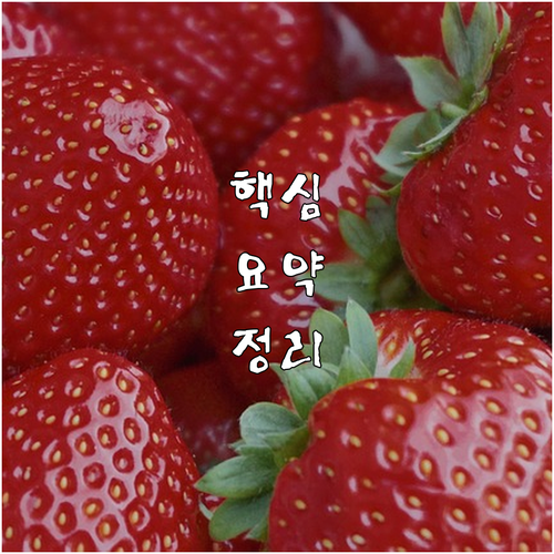 2025 건강보험 산정특례 대상 혜택..