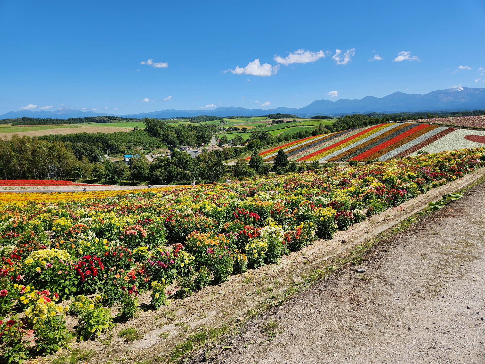 사계체 언덕 - 22