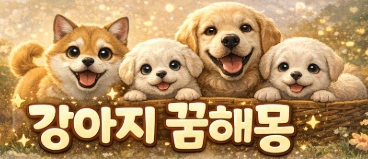 강아지 꿈해몽! 유형별 12가지 강아지 꿈해몽! 총정리!