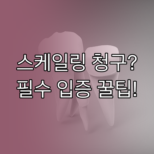 실손보험 스케일링 추가 비용 청구 치..