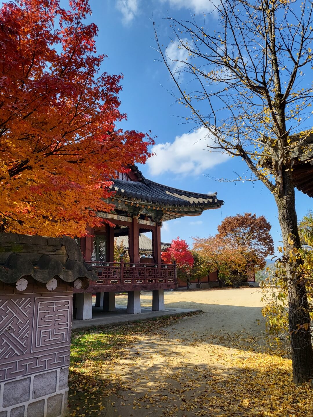 문경 에코랄라 가은오픈세트장