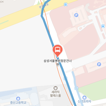 삼성서울병원정문건너편에서 인천공항 리무진 공항버스(6009번) 지도 위치