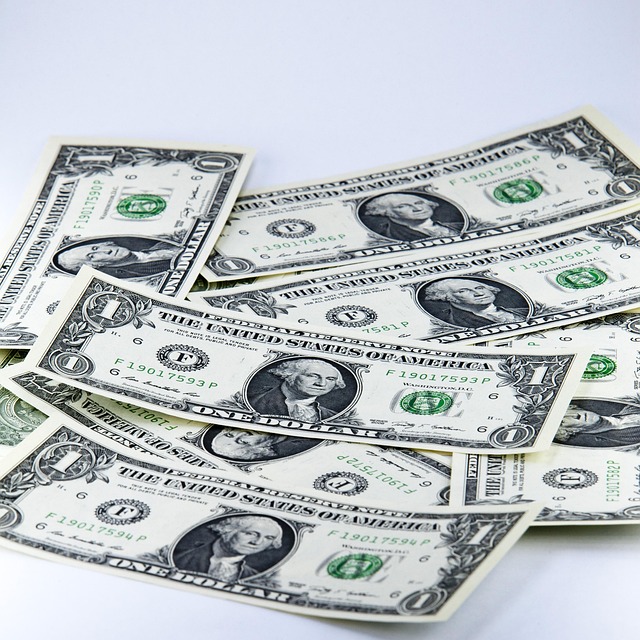 여러장의 달러 지폐