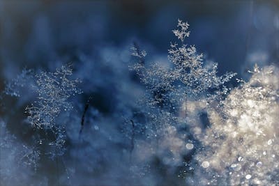 공기청정기 필터 세척 가능 여부