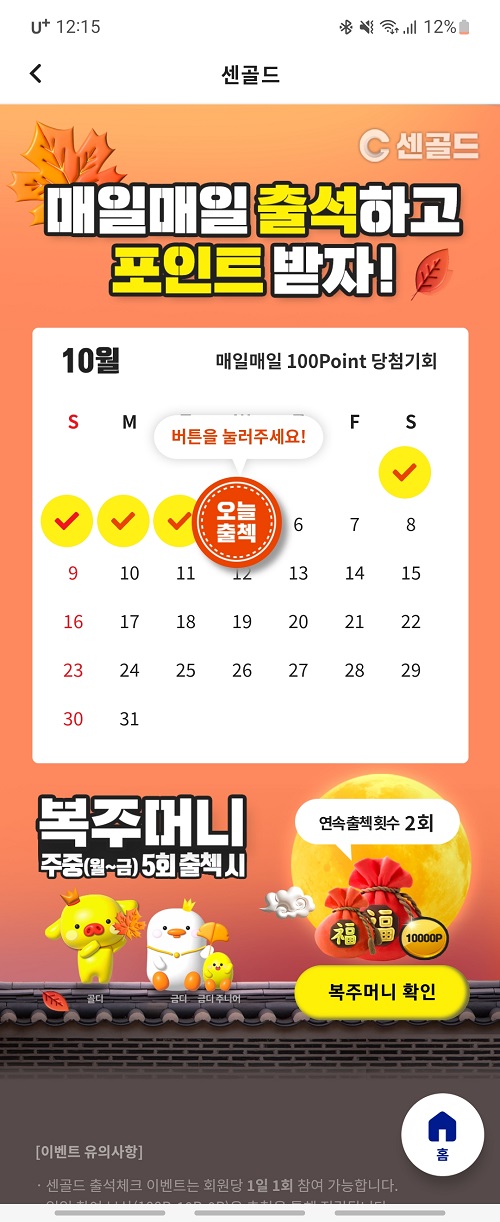센골드(2)
