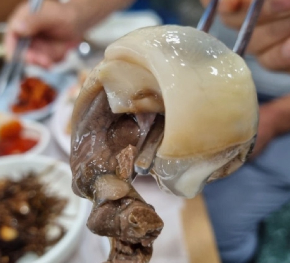 백반기행-고성밥상-골뱅이숙회-거진홍가네