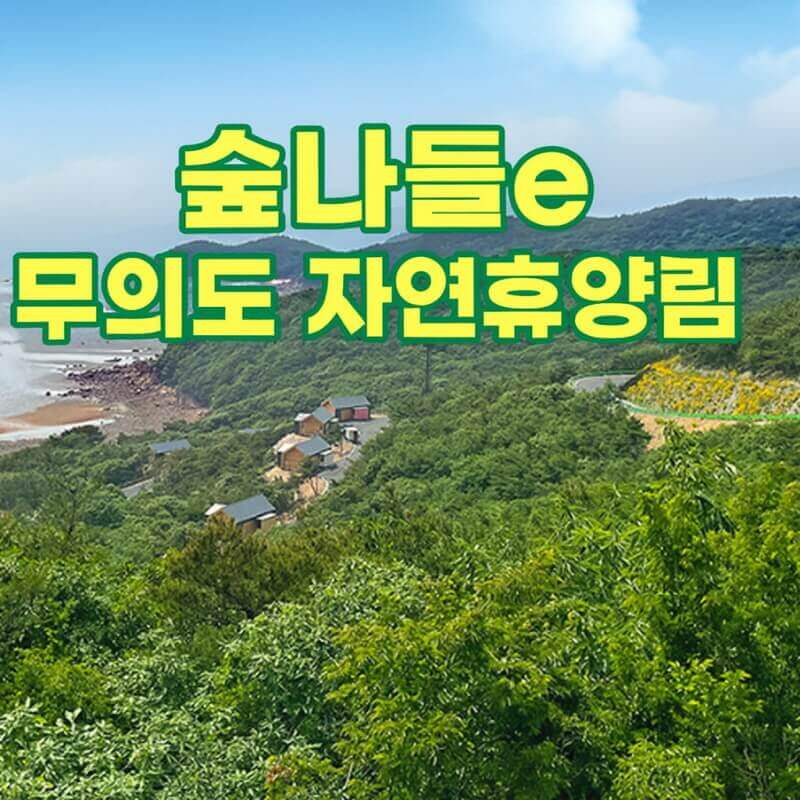 숲나들e 무의도 자연휴양림 국내 여행지 추천 관련사진