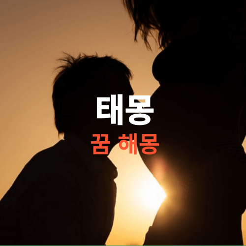 태몽꿈 종류, 꿈속에 어떤것이 나와야 태몽 일까요. (태몽이란 어떤 꿈일까요?)