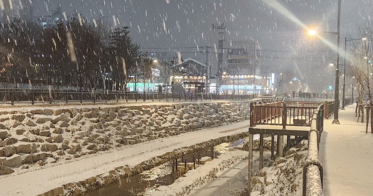 부천 반려견 겨울 나들이 명소, 강아지와 함께 걷기 좋은 산책 코스