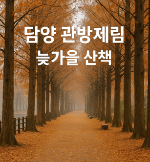 담양 관방제림 늦가을 산책 : 단풍마저 고요해진 숲길 걷기 여행