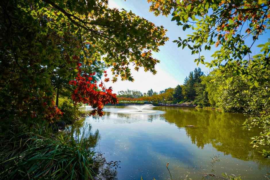 포항 영일대 호수공원