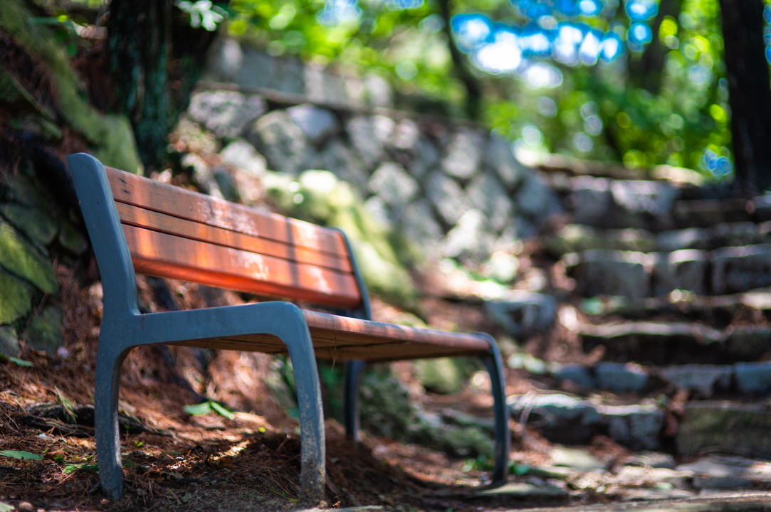 정상을 향해 올라가다 만난 벤치