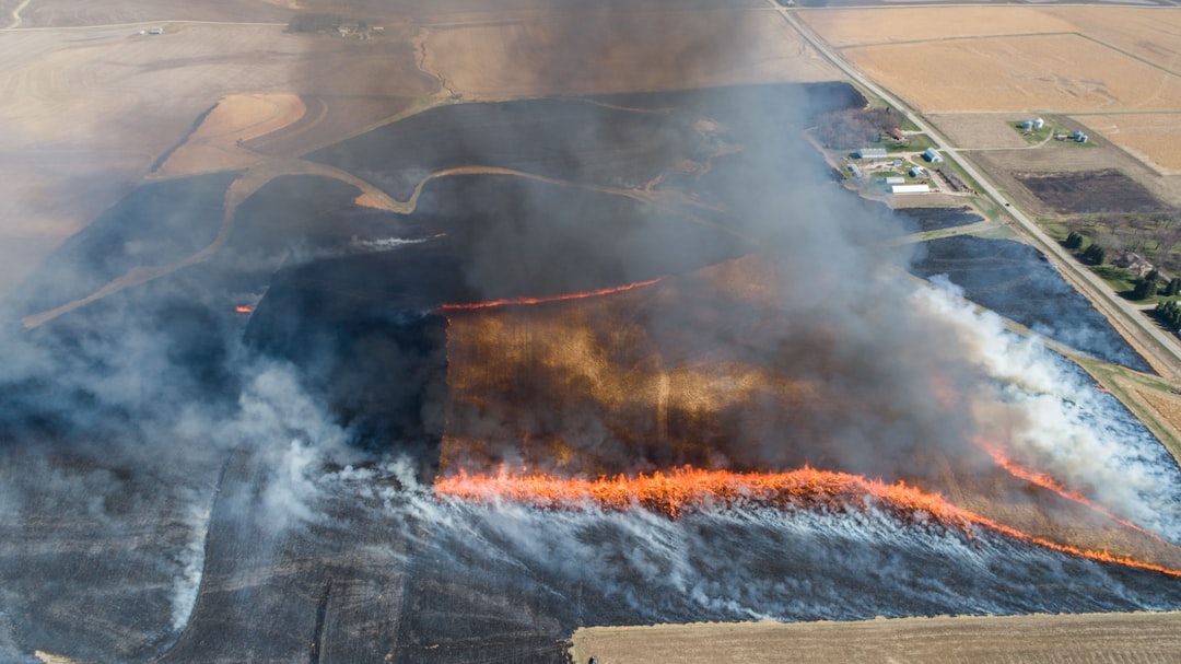 Wildfire