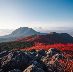 한라산단풍3