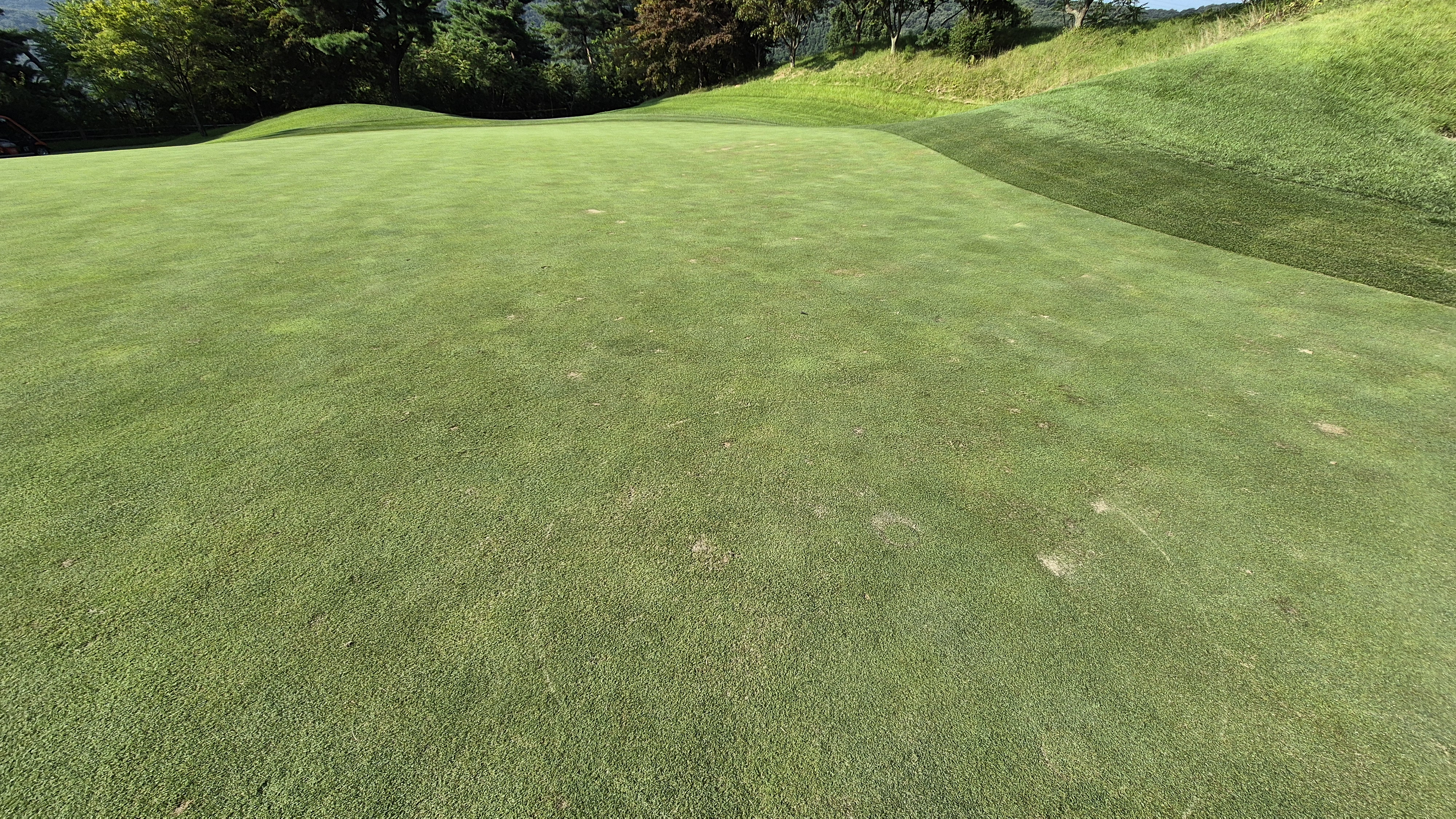 골프존카운티 안성H