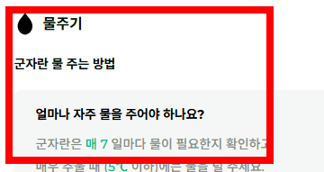 군자란 관리법 알아보기