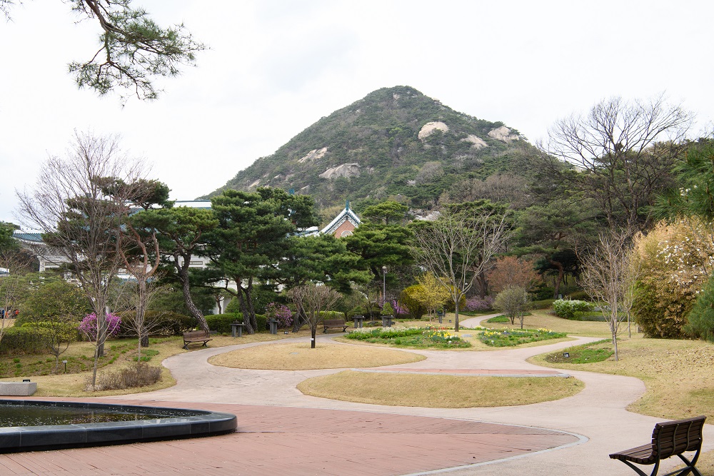 청와대 개방예약 관람신청