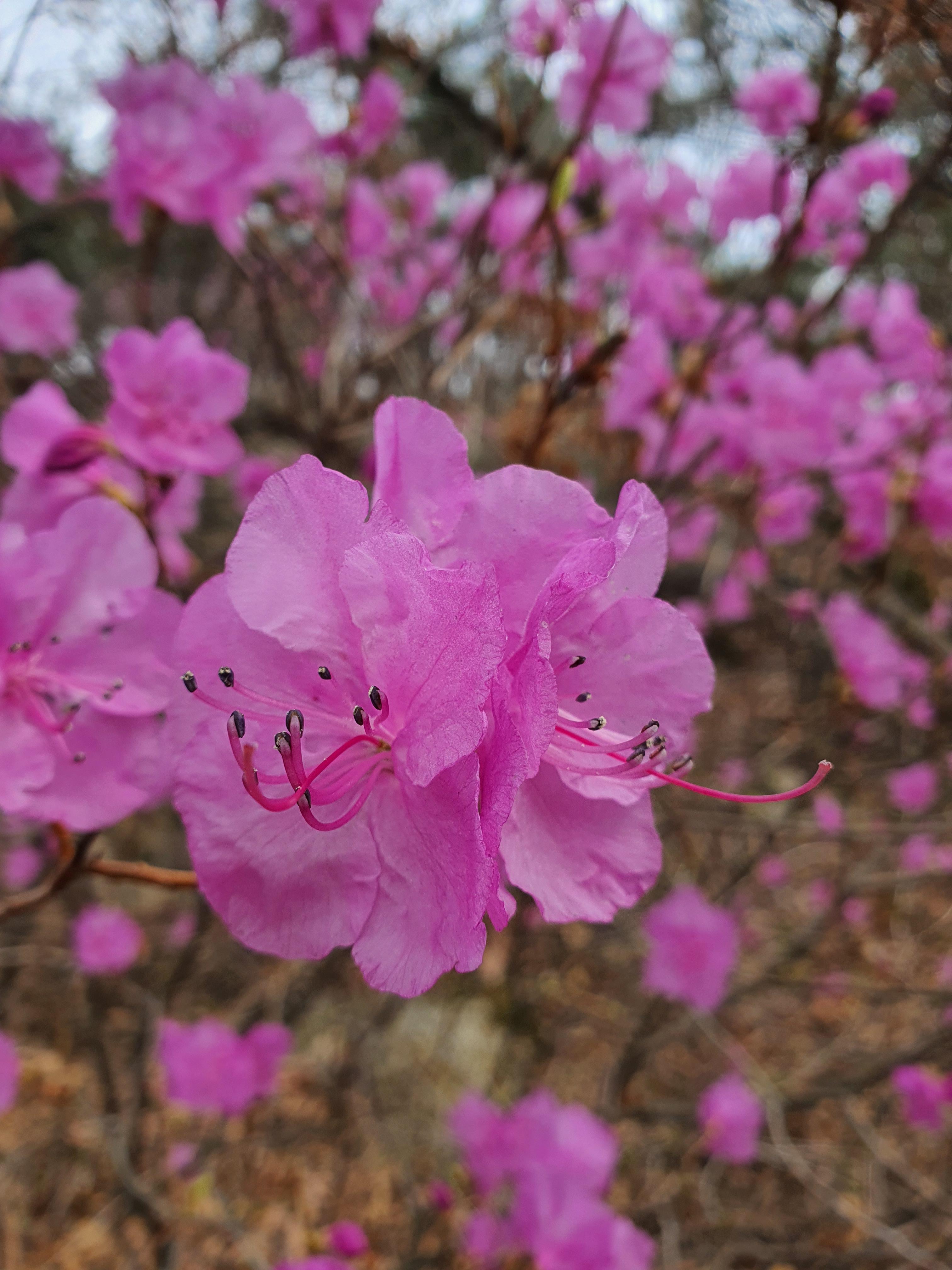MZ를 위한 인싸 포토 스팟
