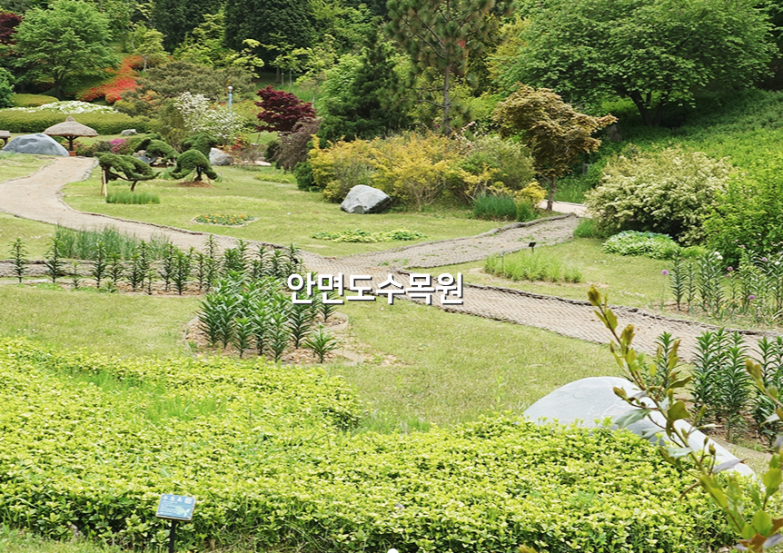 안면도 수목원 입장료, 할인, 운영시간, 예약 등 3분 총정리