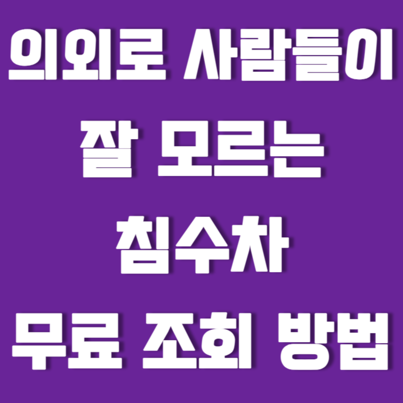 의외로 사람들이 잘 모르는 침수차 무료로 조회하는 방법