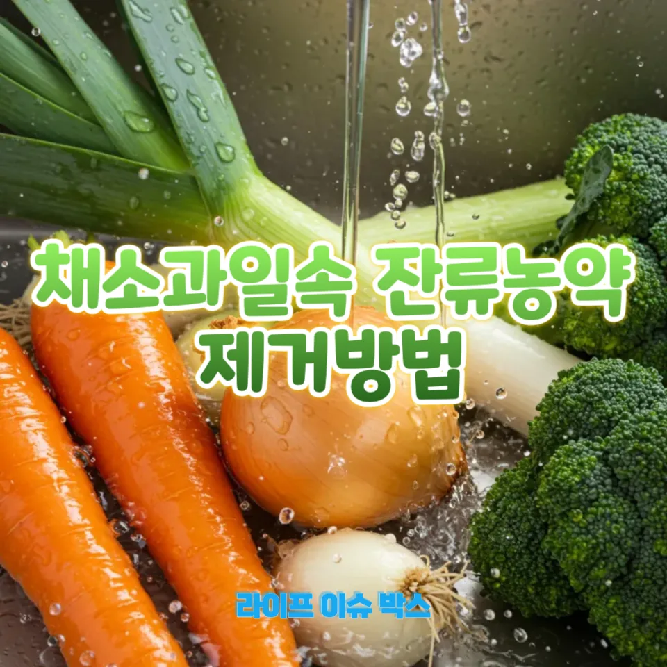 채소과일속 잔류농약 제거방법