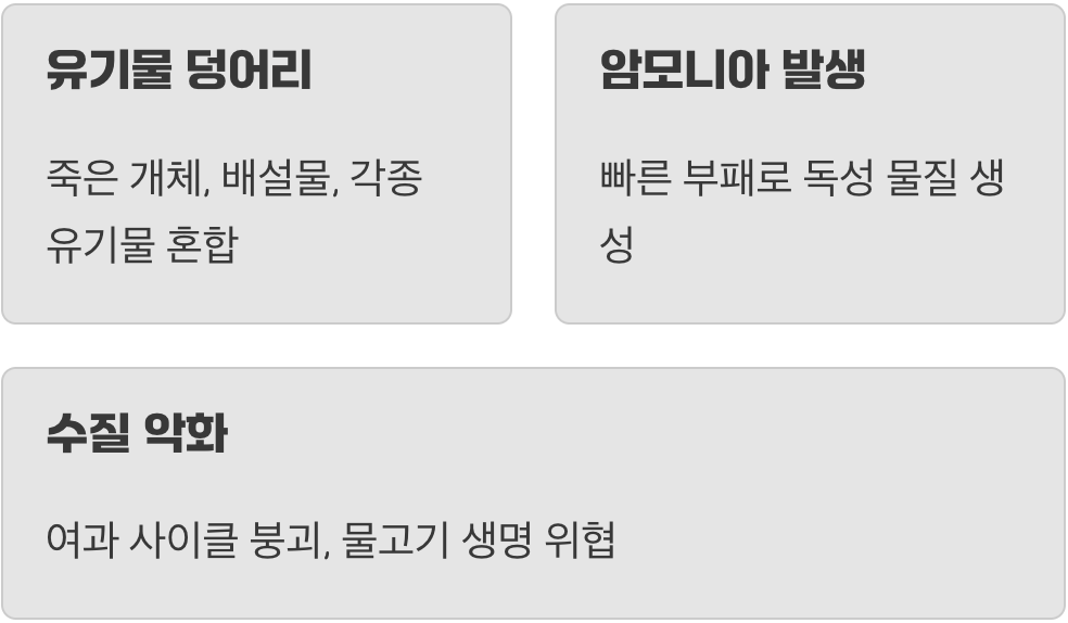 이 찌꺼기, 그냥 두면 안 되는 이유